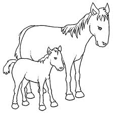 Immagini da colorare di cavalli il miglior web for Immagini di cavalli da disegnare
